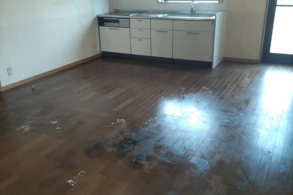 玉野市 特殊清掃の画像