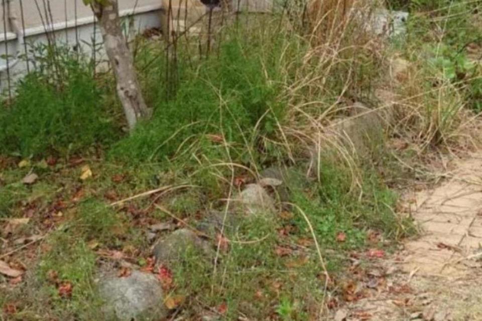 総社市 遺品整理の画像